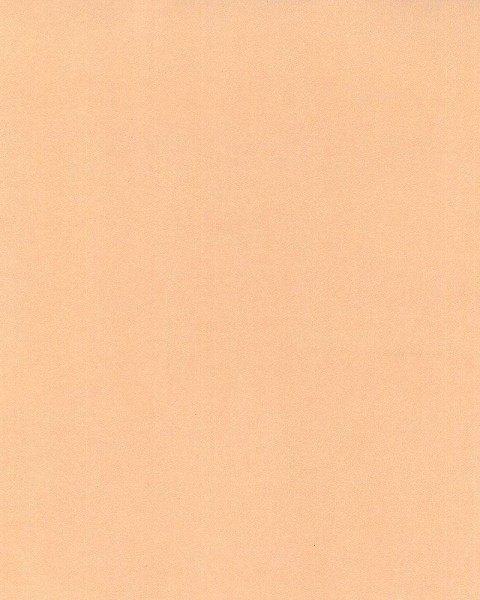 Hattan Palette | 06 Apricot